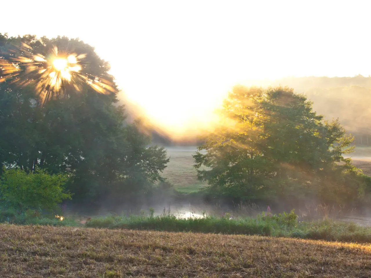 United Kingdom Establishes a New Investor Group for Emerging Markets