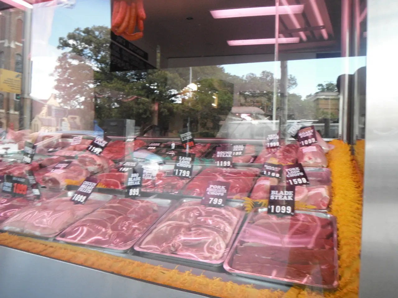 Expanding Meat Industry Projected to Achieve USD 107.5 Billion by the Year 2034