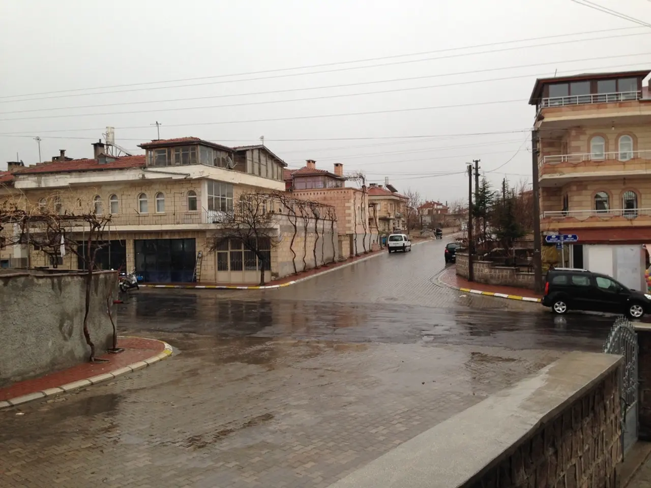 British corporations intensify focus on homegrown carbon credits in pursuit of net-zero objectives