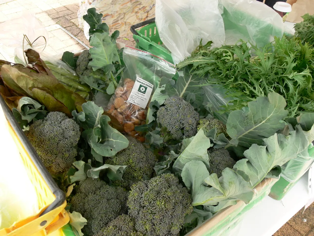 Turkey and Kyrgyzstan set ambitious $5 billion trade target through newly-devised action plan