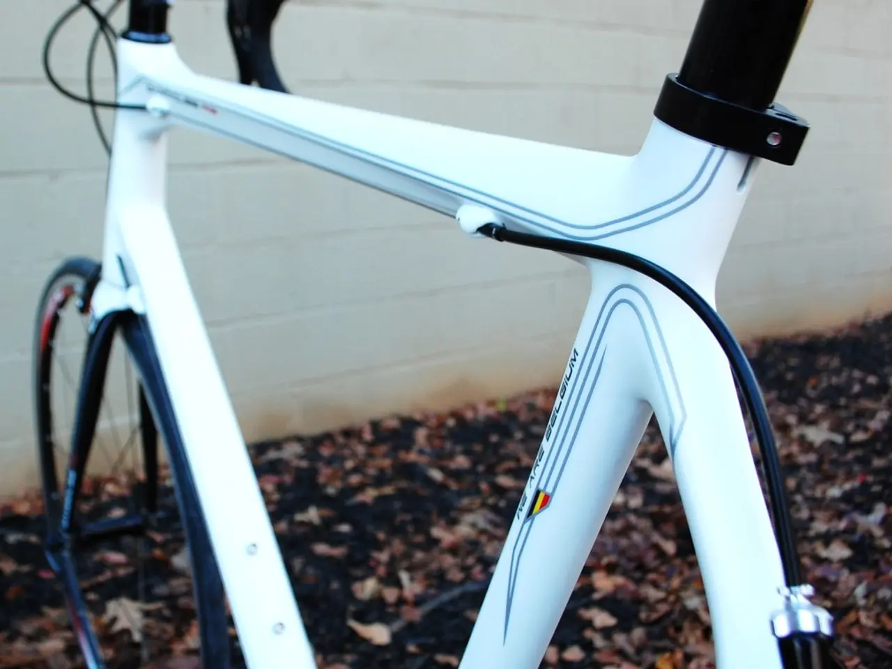 Bangladeshi authorities aiming for establishing free trade agreement with EU