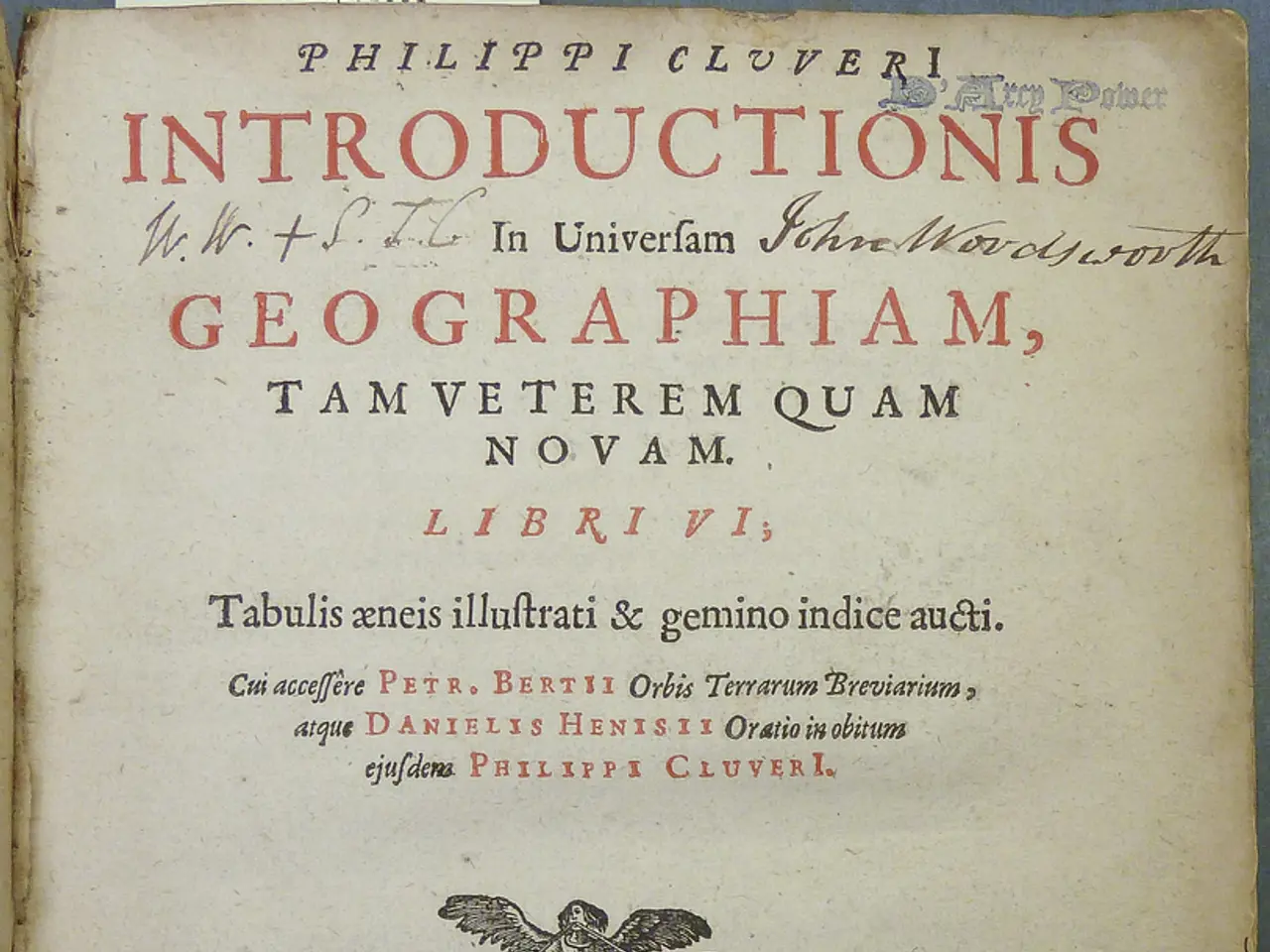 Insights into Deciphering an Initial Public Offering Document