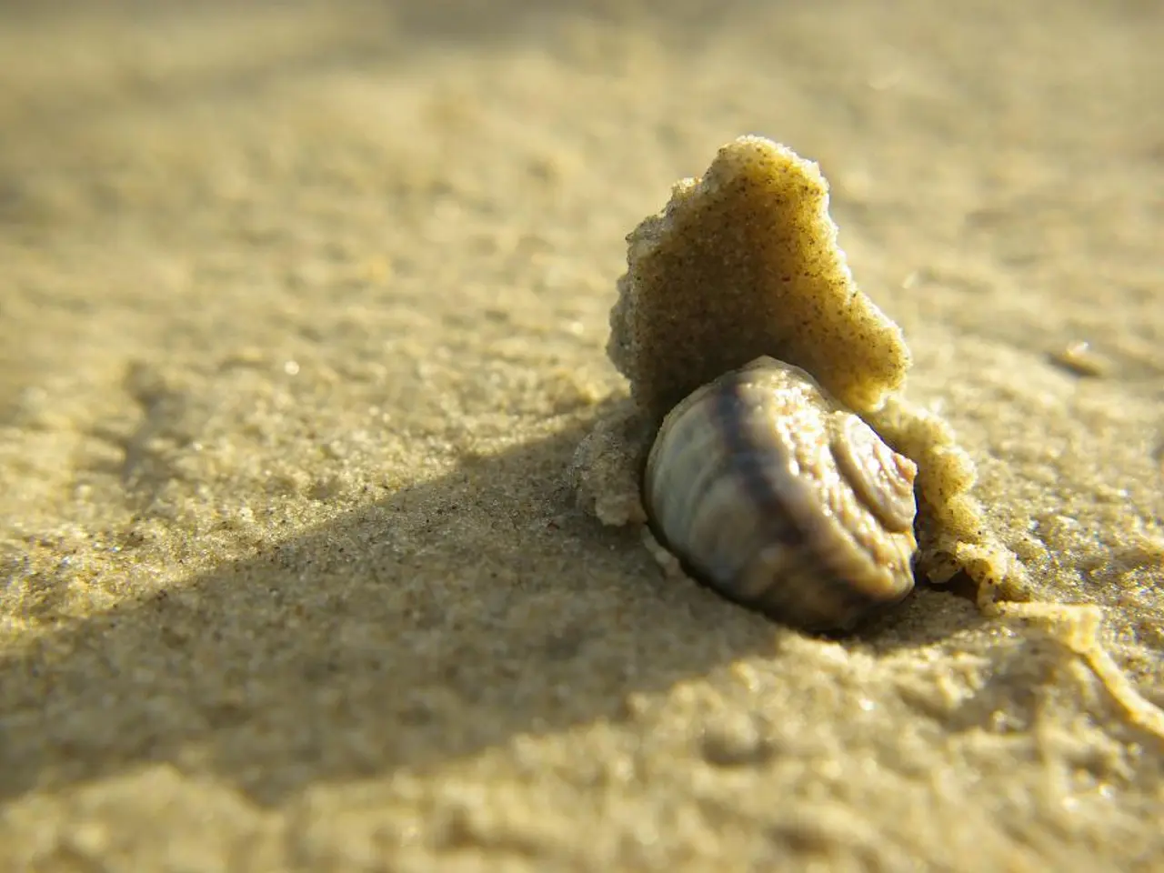 Overcoming the Key Obstacles in UAE's Business Tax Reforms