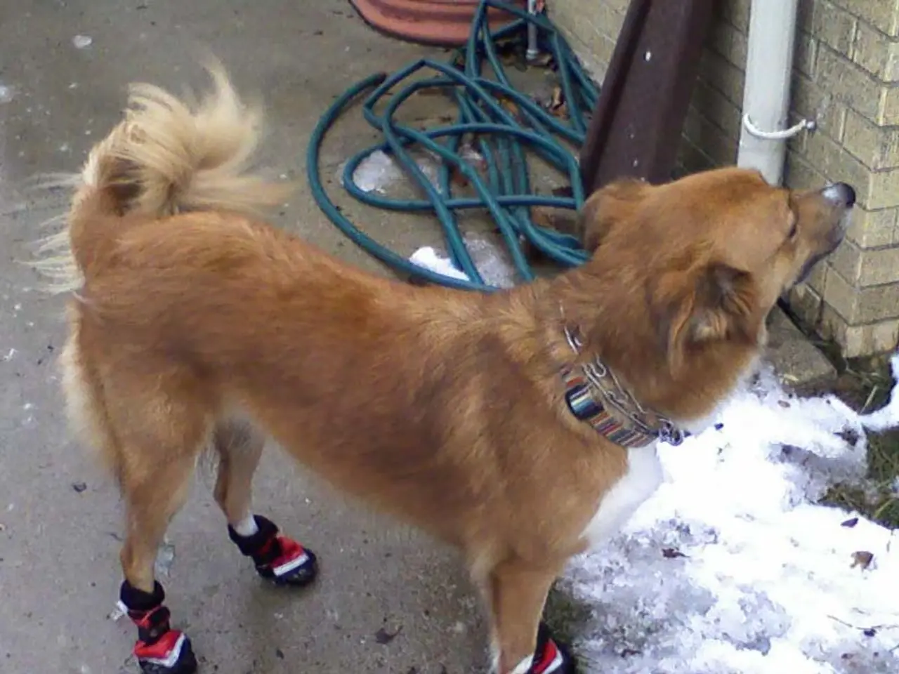 Predicting Dogecoin (DOGE) Price: Can the Cryptocurrency Break Through $0.29 Barrier for a...