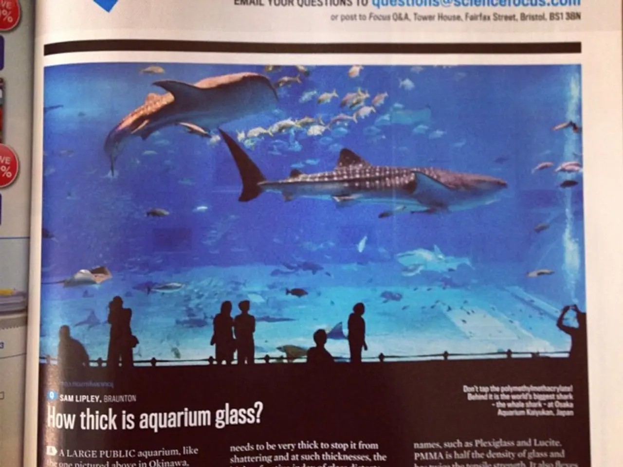 Tuna Bonds Dispute Between Credit Suisse and Mozambique Settled