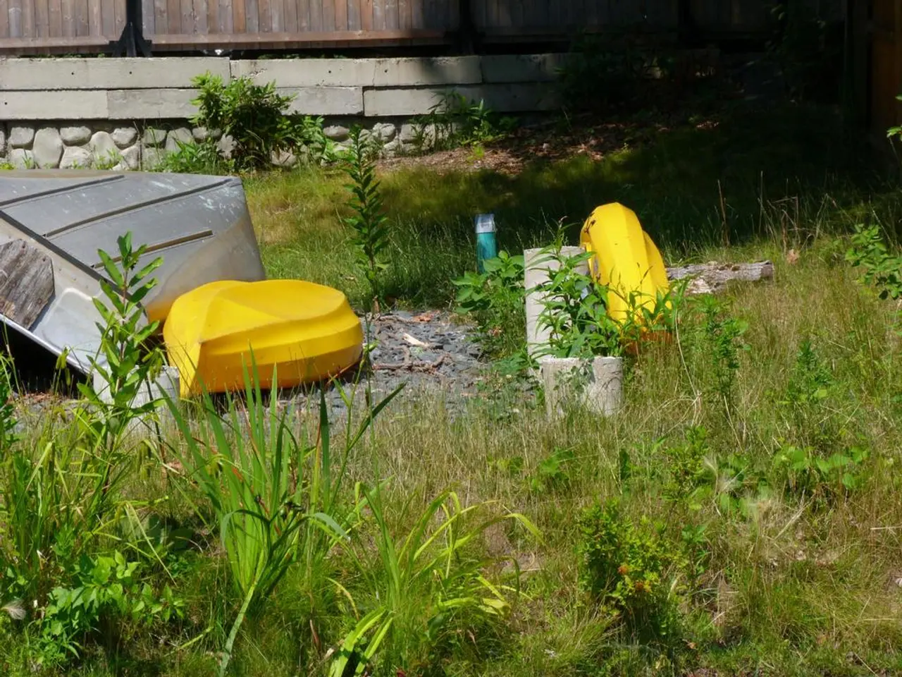 In the image the land is covered with plants and trees all over it, it seems to be a boat on the...