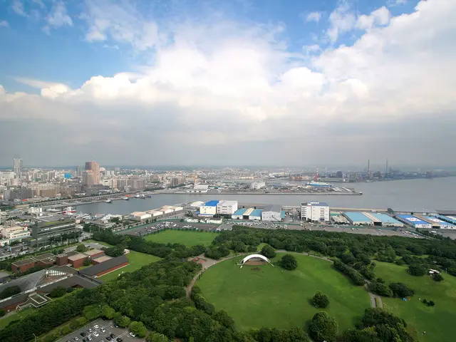 City and MSC allegedly mislead HHLA's CEO, Titzrath, in certain matters.