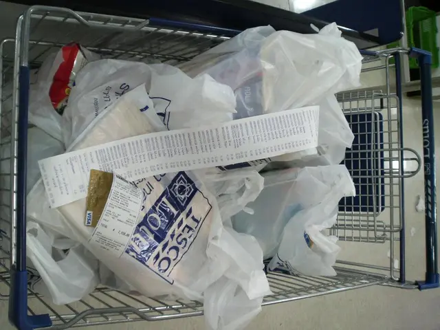 Trump's Proposed Legislative Act, dubbed the "Big Beautiful Bill," carries potential negative...