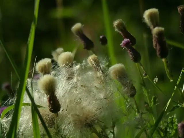 Agriculture Ministry seeks alleviation of fertilizer demands.