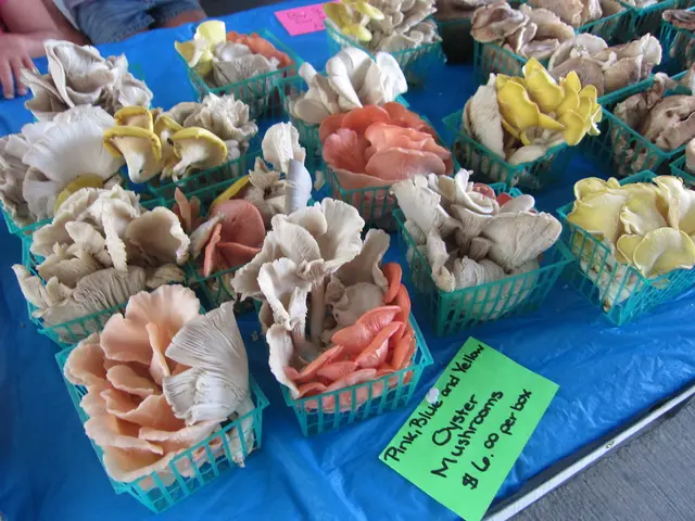 Home sales are surging in La Salle County, marking a steadily upward trend.