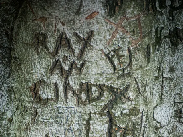 Release of tentative numbers sparks debate on potential legal concerns