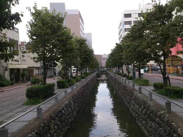 China's reaction as Egypt grapples with a financial dilemma