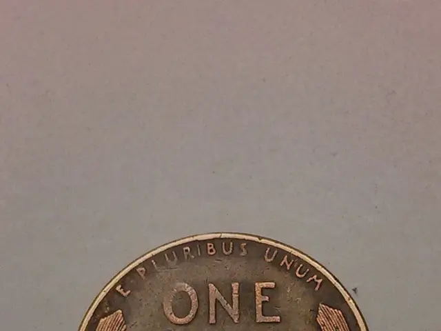 Premium Visas for American Business and Financial Endeavors