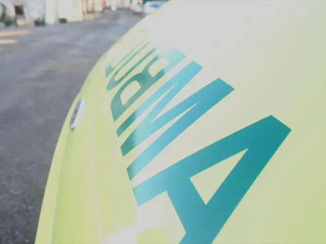 Investment Guide for Hydrogen Shares in 2025: Strategies for Profiting from the Hydrogen Economy