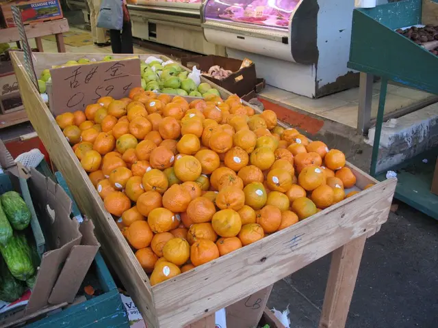 Comparison of Affordability Across European Nations in Respective Bar Graphs