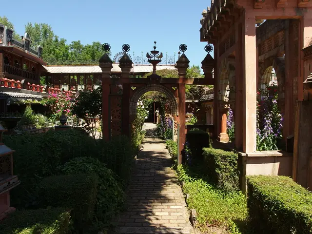 Increase in Linden Harvest Reaches 1 Ton in Turkey's largest Forest