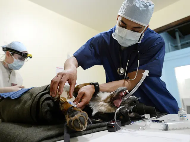 Substantial expenses incurred for mask replenishments