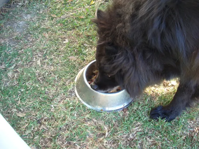 Increasing Financial Support for Agricultural Development Initiatives by the Government