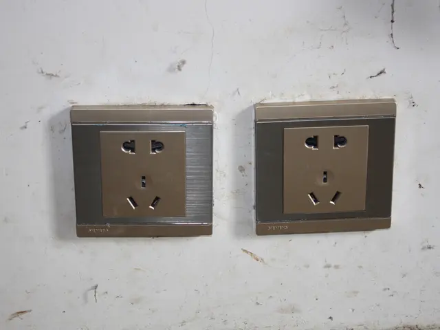 Cross-border payments networks and B2B2X landscape in 2024: An overview of key data insights