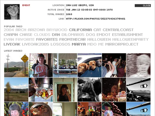 Opting for Appropriate Infographic Fonts for Business Presentations