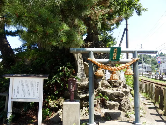 Accelerating Coal Phase-Out in Asia Requires Policy and Financial Reforms, Says Climate Finance...