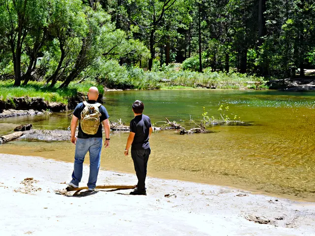 Banks Faced Penalties for Aggressive Debt Recovery Practices