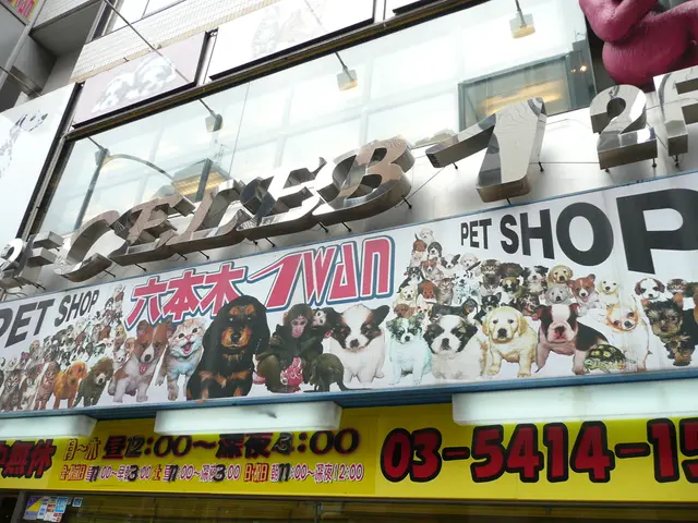 UOVO intends to construct a second significant storage facility in Brooklyn