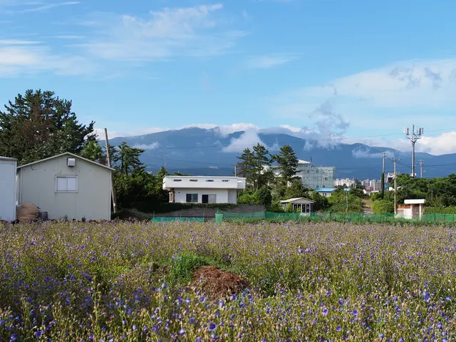 Missouri will witness the development of a gas power plant accompanied by a 400-MW battery storage...