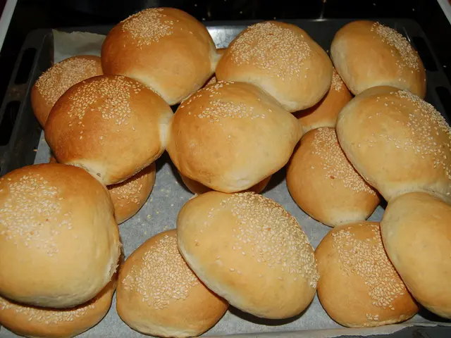 Economics Minister appoints Bundesbank experts as principal economic advisors