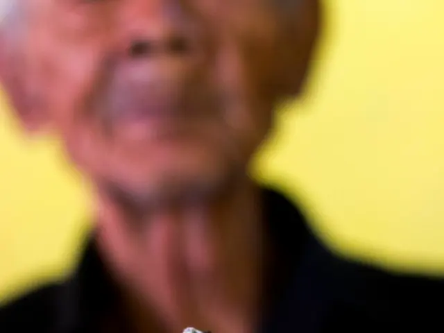 Stock's Soaring Potential Despite Pessimism on Wall Street: My Case for Hanging On