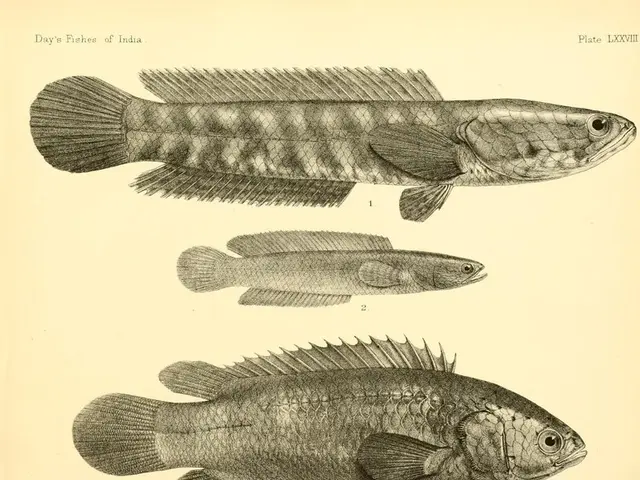 Construction of Kenya's inaugural fish port has been completed, with transfer of management now to...