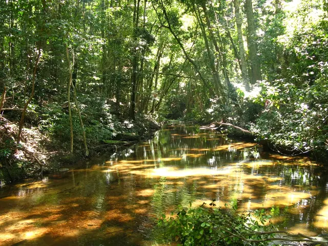 Final Approved National Pollutant Discharge Elimination System Permit for Mirant Canal Station