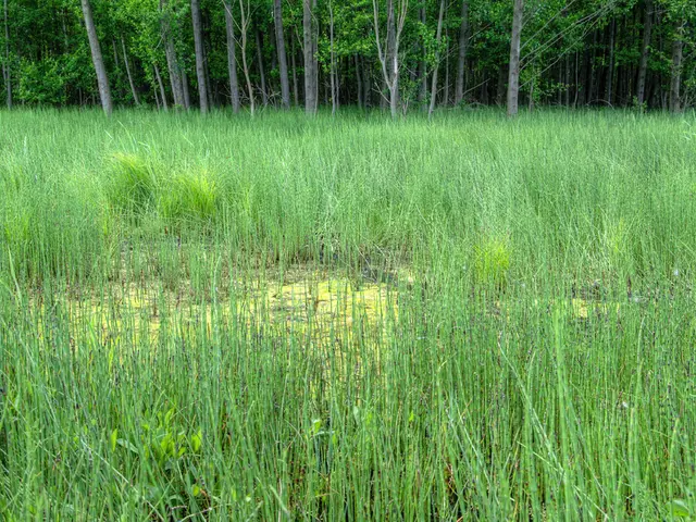 Investors support effort to enhance sustainable farming methods in the U.S. Midwest