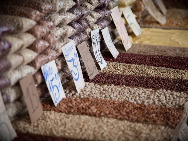 Grain Exports Significantly Boosted by Over 58%