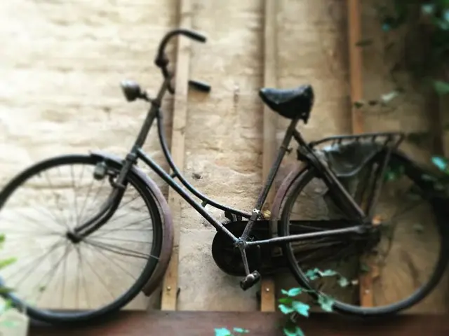 Lifecycle of Goods and Services