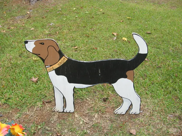 The forthcoming trajectory of Dogecoin