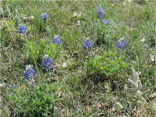 Family Business Transformation: Mahesh Pipariya's Journey from a Family Farm to a Million-Dollar...