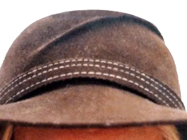 "What Investment Fund Exhibits a Lower Divergence from its Benchmark Performance?"