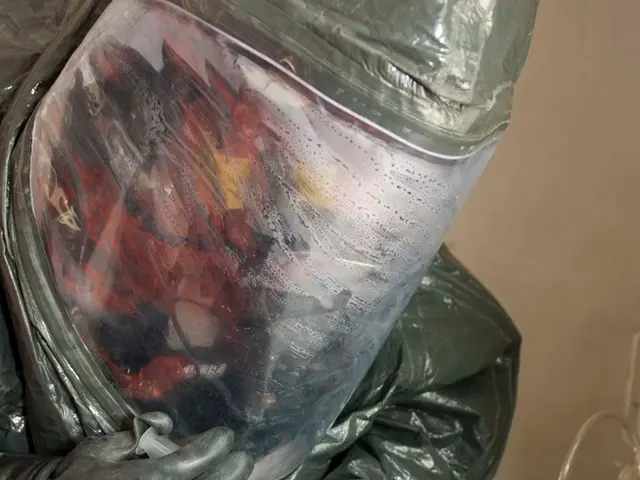 Delay in Implementation of Ethylene Oxide Emission Regulations for Medical Device Sterilization by...