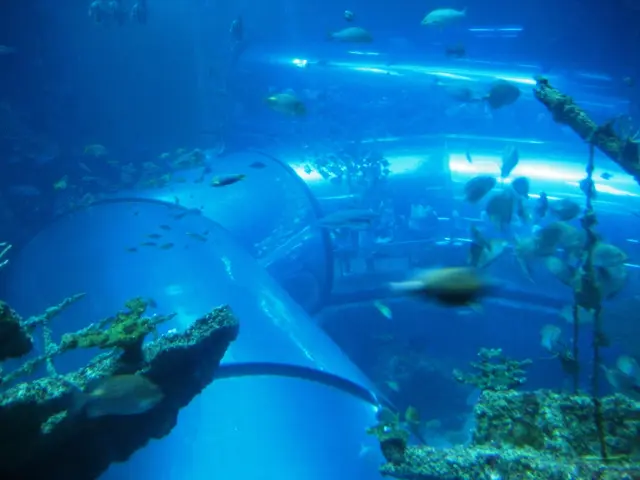 Capital Market Stir: The Impact of Blue Bonds on Financial Markets in the Nation's Capital