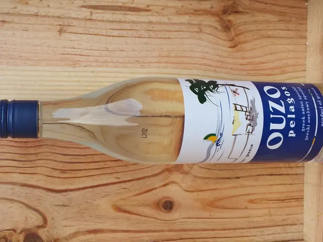 Analysis of Axis Large Cap Fund: Is It the Top Performing Large Cap Fund in India?