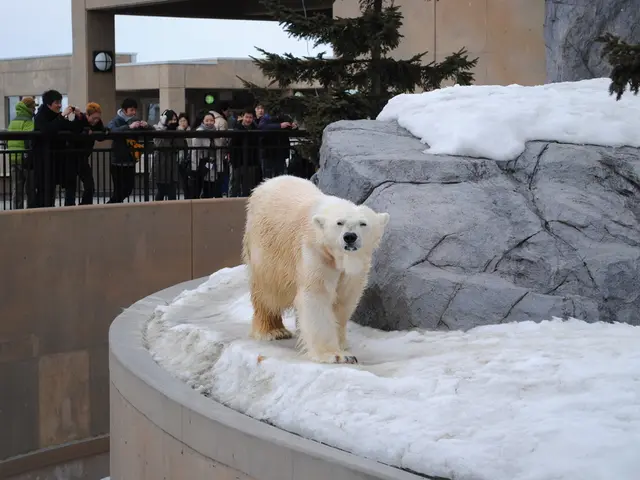 Preparing for Retirement in a Slumping Stock Market: Essential Guidelines for Seniors