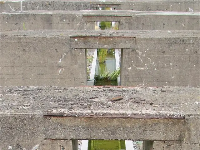 Flow of Water Imperative: Impact of Mining on Landscapes and Climate