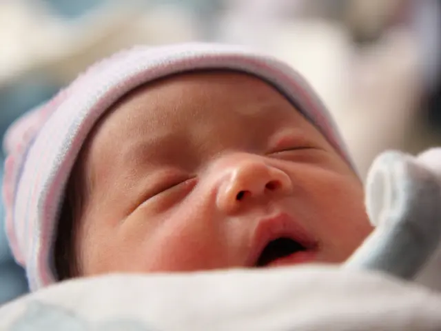 Presentation and Question & Answer Session for the Preliminary Report spanning July to September...