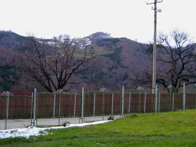 Number of staff in the collective