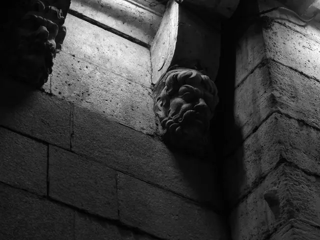 JSW Cement's initial public offering (IPO) will commence on the 7th of August, with a value of...