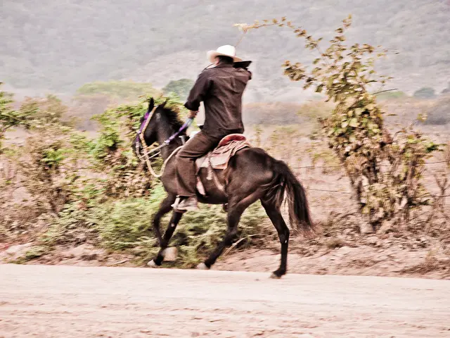 Uranium company Stallion reveals modifications to a prior arrangement concerning the agreement of...