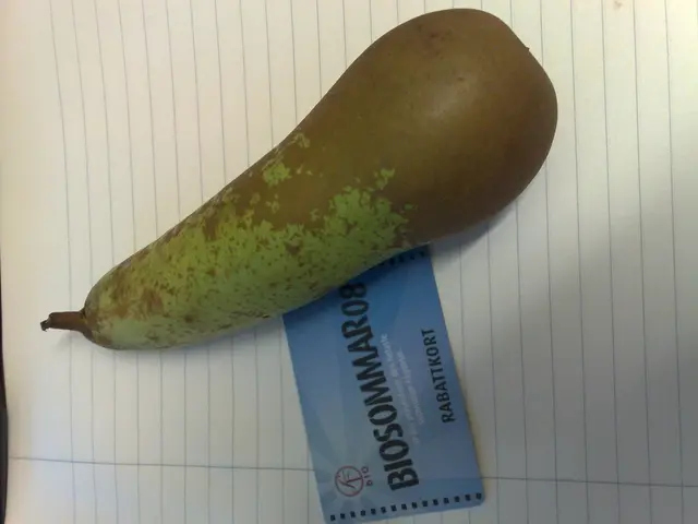 Comparison between Chase Sapphire Preferred Card and Marriott Bonvoy Brilliant Card: A Detailed...