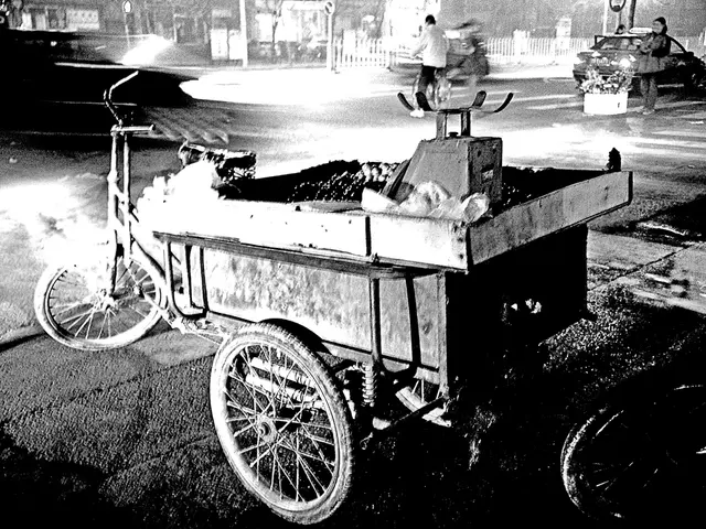 Rickshaw driver leaves passenger 1 kilometer from workplace following 18-kilometer journey: 'Why...