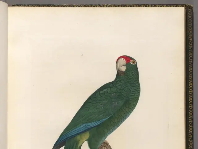 Berkshire Hathaway, run by Warren Buffett, records a 4% decrease in its Q2 operating earnings.